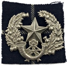 WW2 The Cameronians (Scottish Rifles) Regiment Cap Badge & Tartan  Original WWII