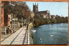 Worcester Cathedral from The