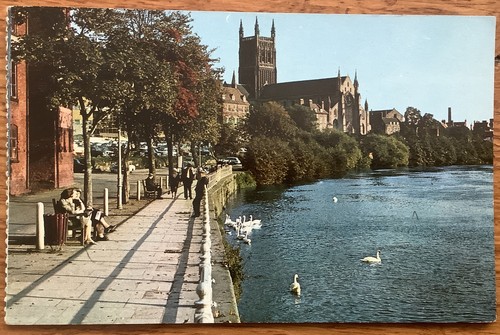 Worcester cathedral from the - worcester,
