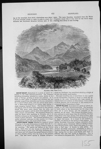 Old antique print snowdon - snowdon, from