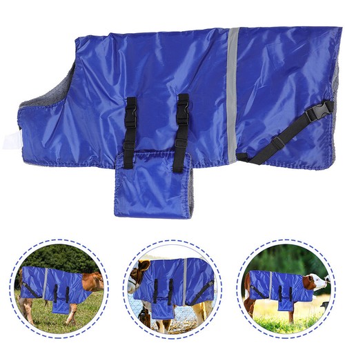 Calf warmth blanket goat - calf,