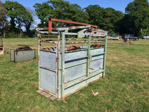 Cattle weighing crate - cattle,