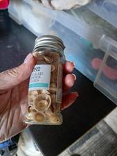 Small Sea Shells Assorted
