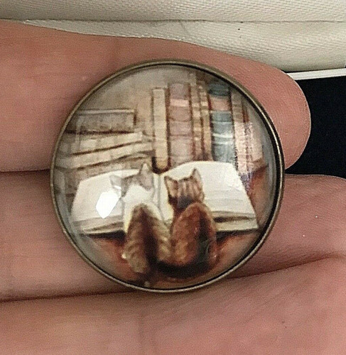 Lovely kittens reading book - kittens,