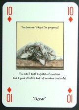 1 x playing card Magnificent