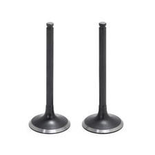 2Pcs Exhaust Valve Kit For
