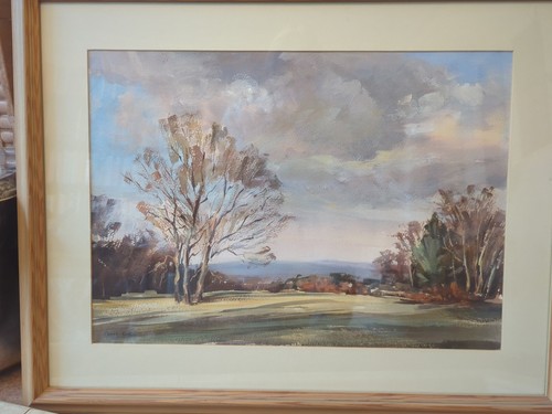 Janet redden ashdown forest - janet, redden,