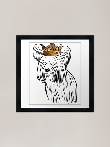 Skye terrier dog king - skye,
