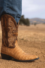 El GENERAL Alligator