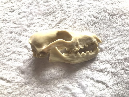 Realistic resin animal - realistic,
