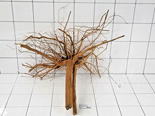 Premium Aquarium Natural