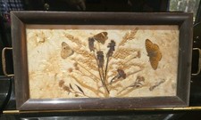 Vintage Japanese Butterfly &