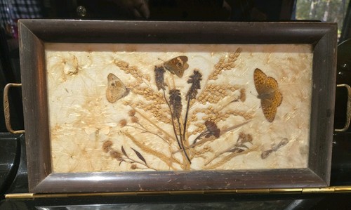 Vintage japanese butterfly - japanese, &