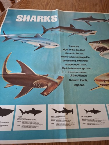Time inc sharks educational - inc.,