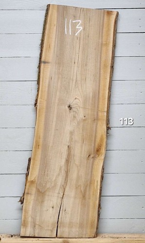 Elm live edge - elm,