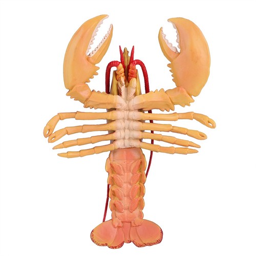 Realistic dark lobster - realistic,