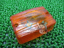 AR50 Turn Signal Lens - In