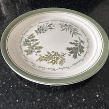 Corelle Thymeless Herbs