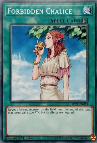 Sdpl en024 forbidden - sdpl-en024,