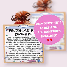 Personal Assistant Survival