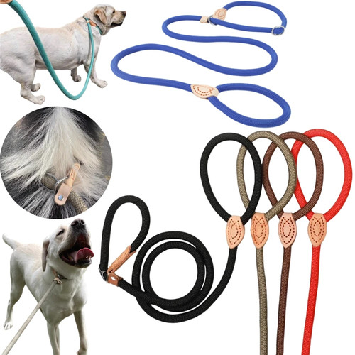 Heavy duty dog leash - duty,