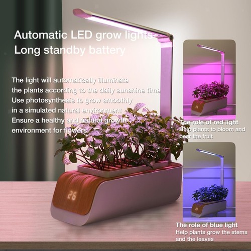 Smart hydroponic indoor - smart, herb
