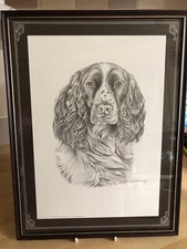 Vintage Pollyanna Pickering