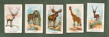 Chinese cigarette cards CHINA