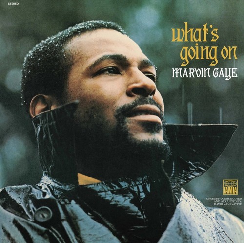 Marvin gaye what - "marvin,