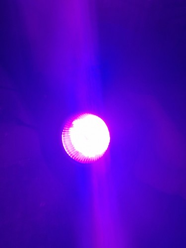 Kessil h380 refugium led - h380,
