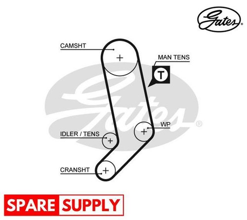 Timing belt for california - belt,