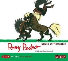 Pony pedro erwin - pony, by