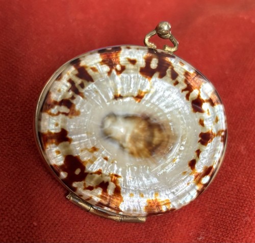 Beautiful victorian limpet - beautiful,