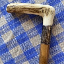 92cm Antique Malacca Cane With Horn Grip And Sterling Silver Collar