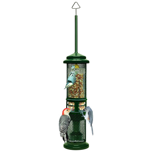 Brome squirrel buster - squirrel,