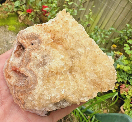 Citrine chalcedony rough - citrine,