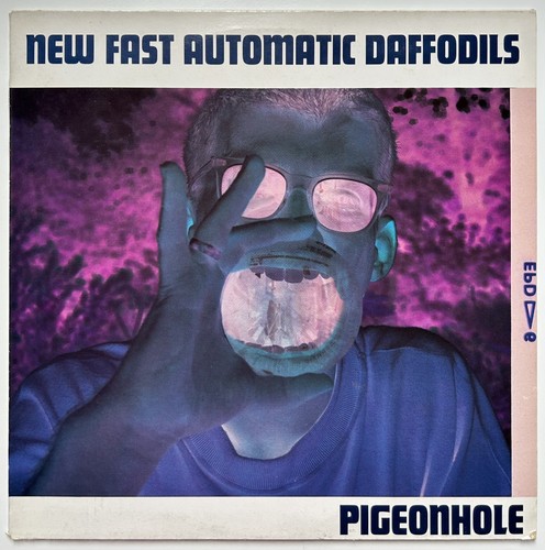 New fast automatic daffodils - new,