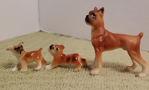 Miniature boxer and pups - miniature,
