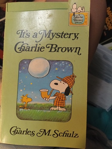Mystery charlie brown - it’s, mystery,charlie