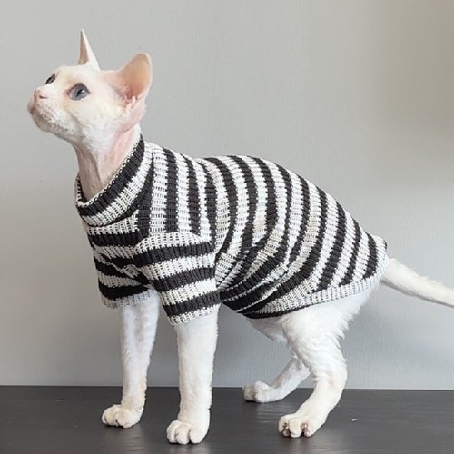 Hairless cat clothes - hairless, clothes,sphynx