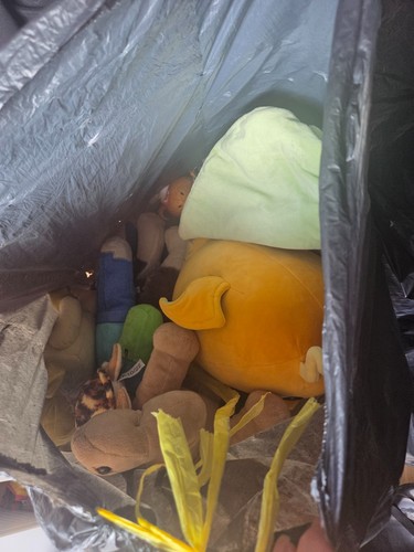 Bag teddies includes - of,
