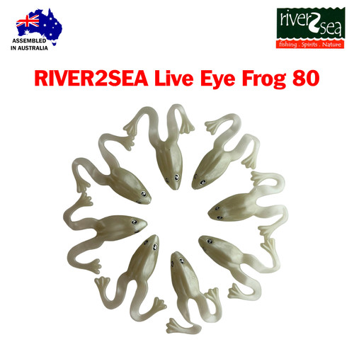River2sea live eye frog - river2sea,