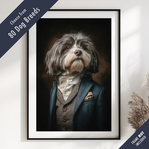 Smartly dressed dog - dressed,