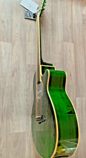 New electro acoustic guitar - electro,