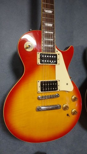 Fernandes sustainer equipped - fernandes,
