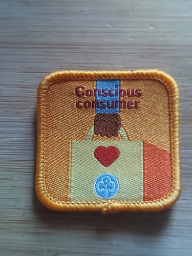Girlguiding interest badge - girlguiding,