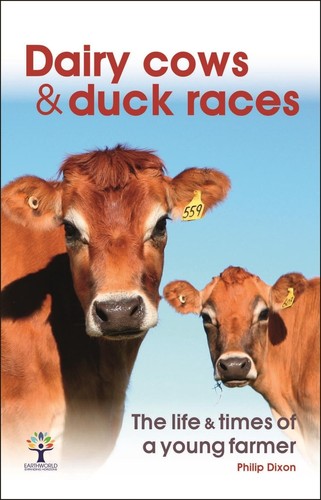 Dairy cows duck races - &,