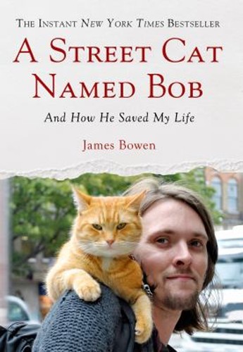 Street cat named - cat,