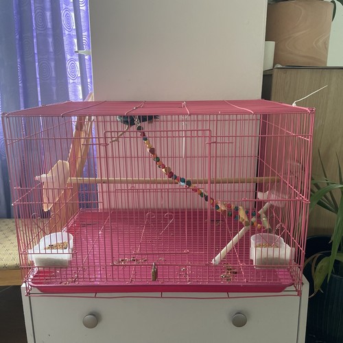 Cage for birds