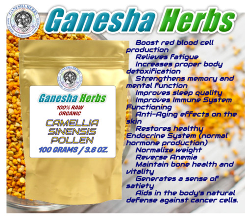 Organic raw camellia - raw, sinensis
